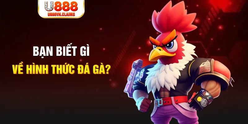 ae666 đăng nhập liêng tặng tiền