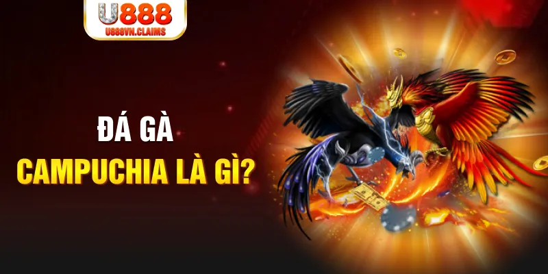ae666 what is the best online casino for real money