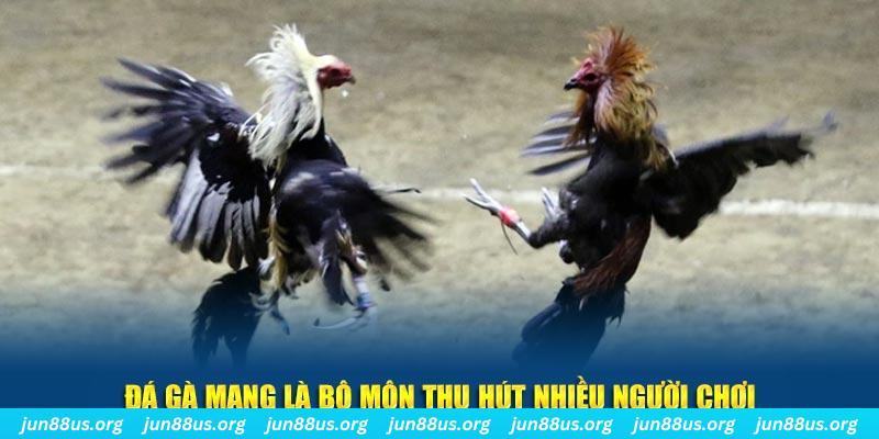 ae666 đăng nhập sòng bạc số 1