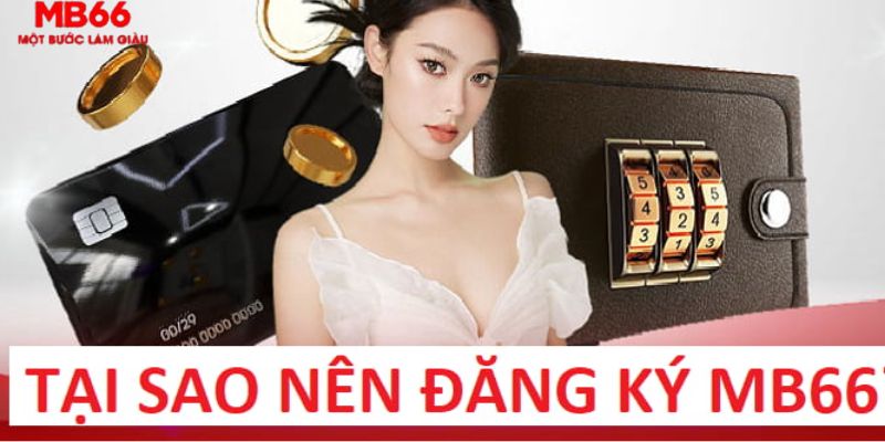 ae666 trực tiếp gà chọi c1