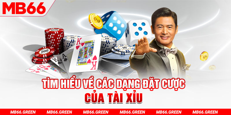 ae666 what is a casino loyalty program