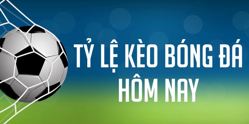 ae666 đăng nhập phỏm