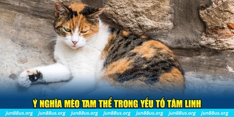 ae666 máy slot game là loại trò chơi gì？