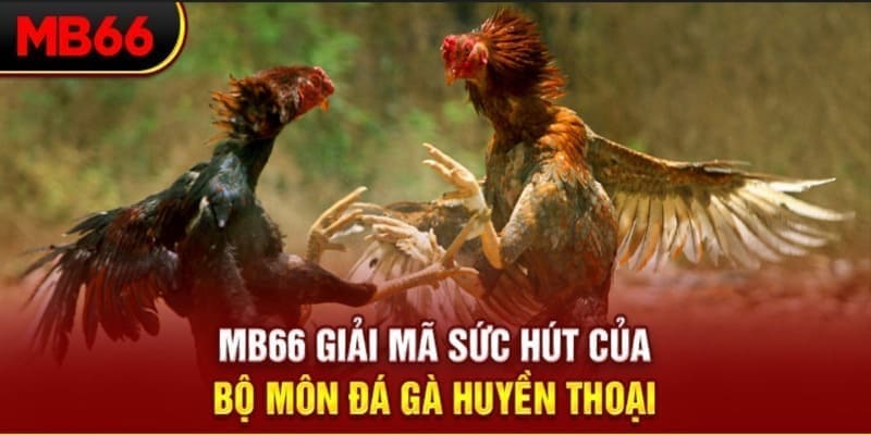 ae666 xổ số đài bắc