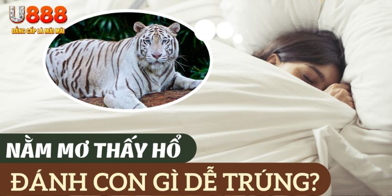 ae666 nohu .mx nổ hủ là gì