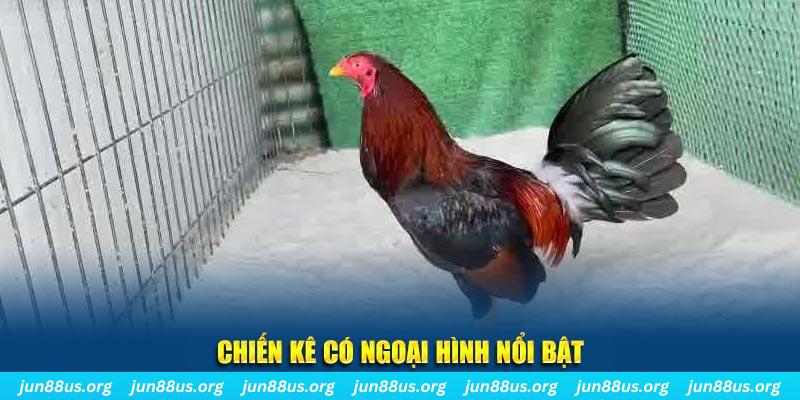 ae666 qq88 bắn cá